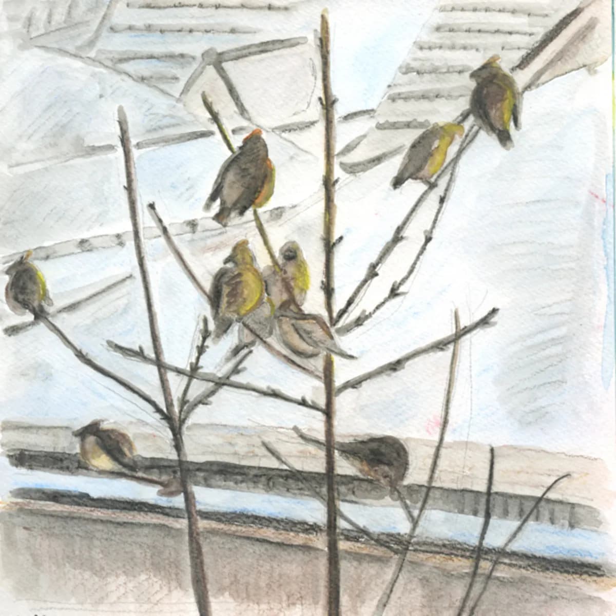 Birds resting on rooftop